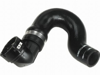 05-2594 CURVED HOSE