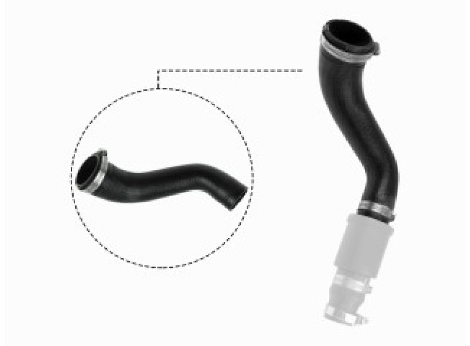 09-0619 TURBO HOSE