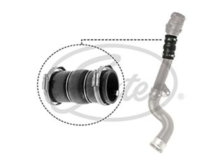 09-1299 TURBO HOSE