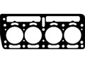 8112140-T.C.PANDA