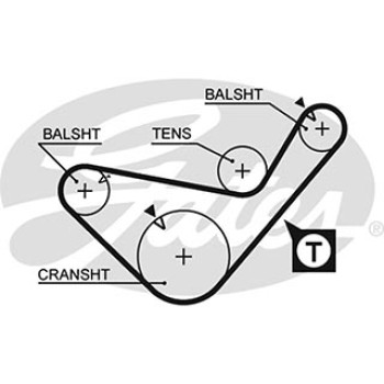AR-SYNCHRONOUS BELTS