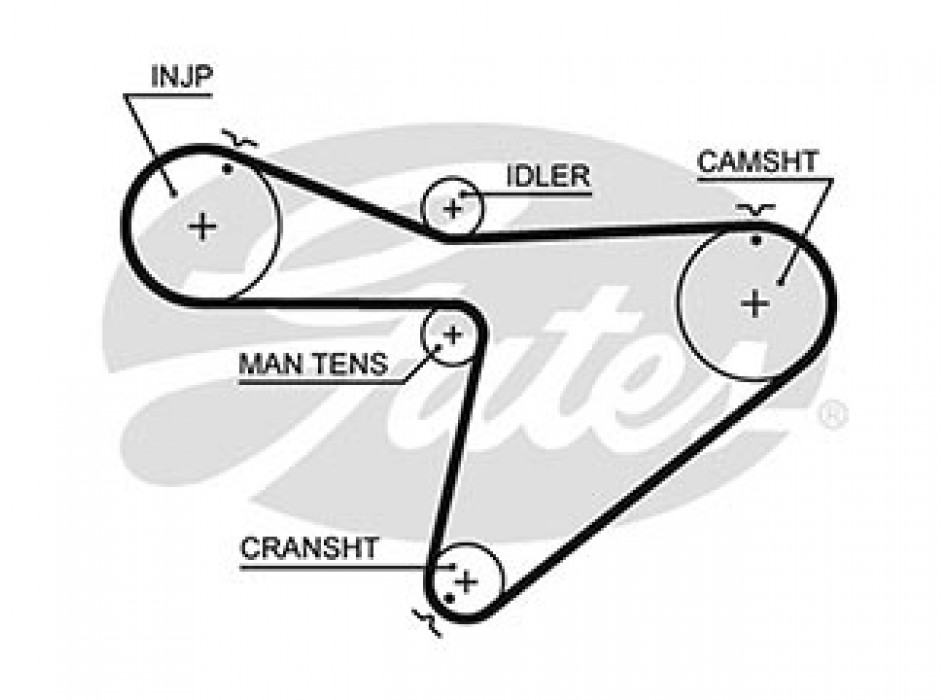 AR-SYNCHRONOUS BELTS