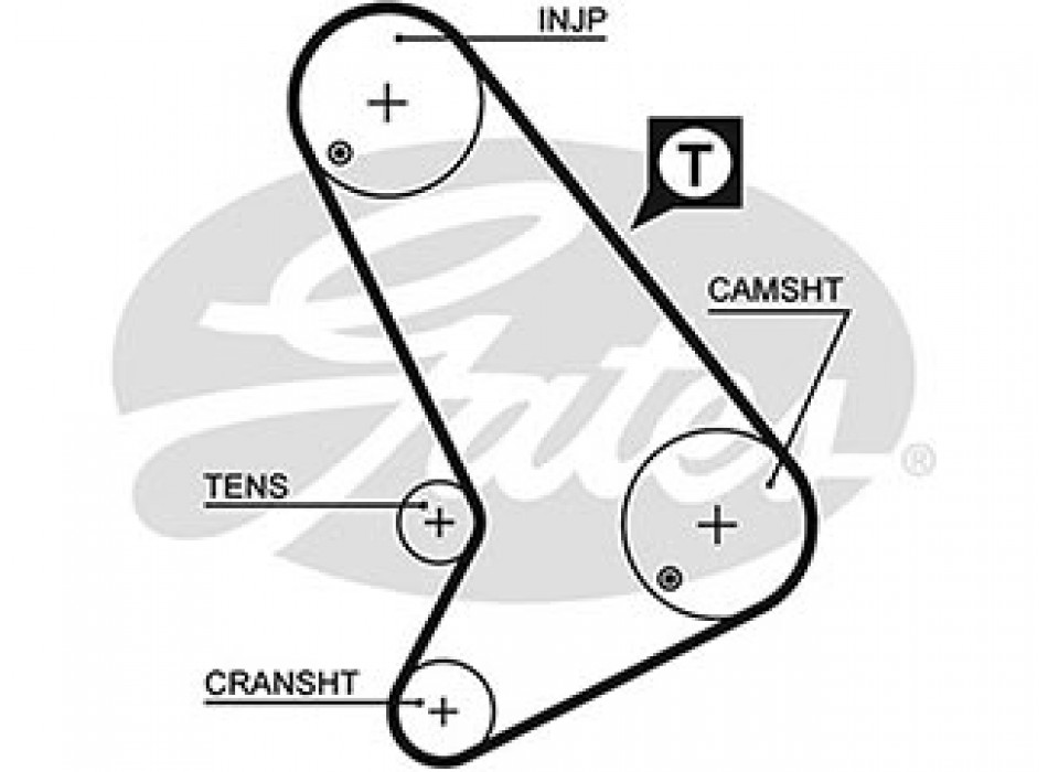 AR-SYNCHRONOUS BELTS