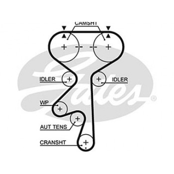 AR-SYNCHRONOUS BELTS