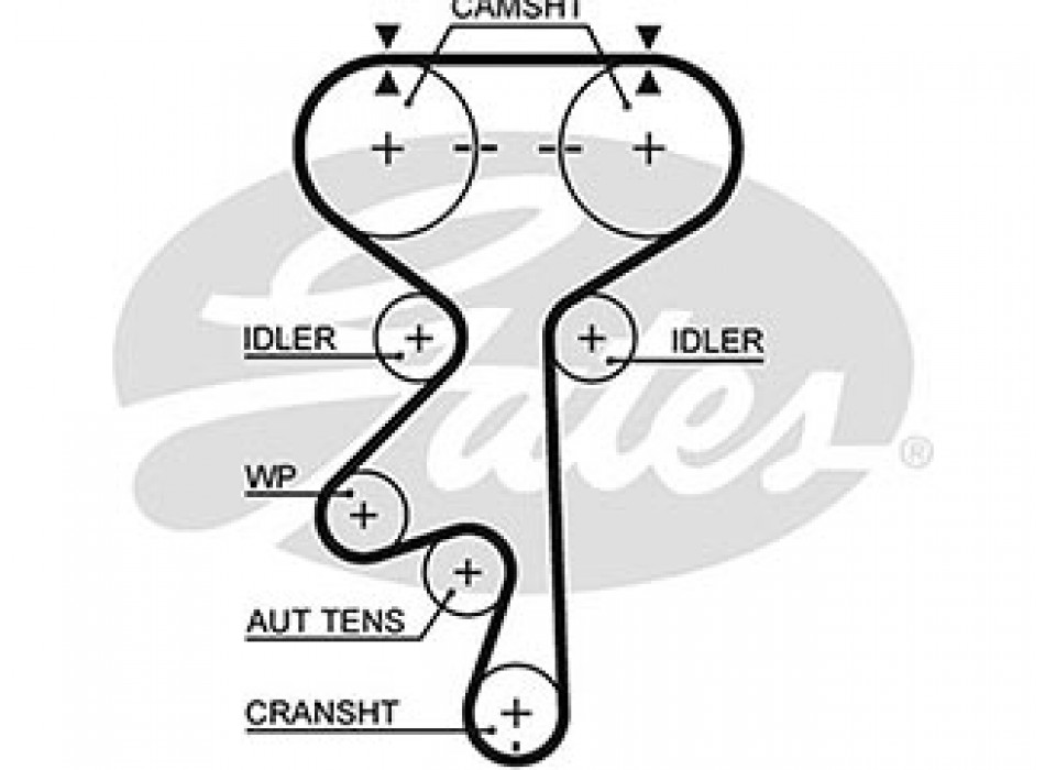 AR-SYNCHRONOUS BELTS