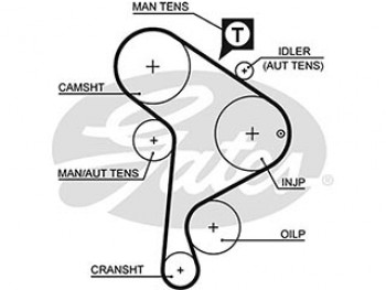 AR-SYNCHRONOUS BELTS