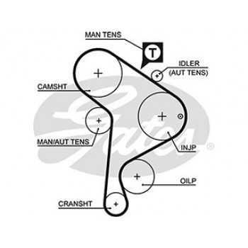 AR-SYNCHRONOUS BELTS