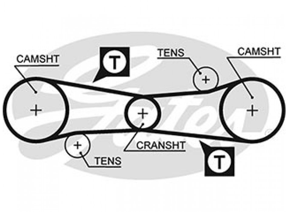AR-SYNCHRONOUS BELTS