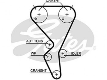 AR-WP KT