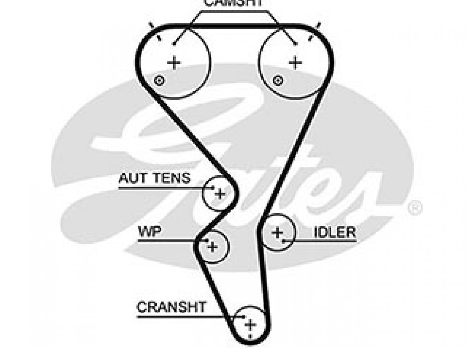 AR-WP KT