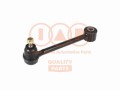 BRACCIO SOSPENSIONE POST.DX/SX INF. (lato ANT)