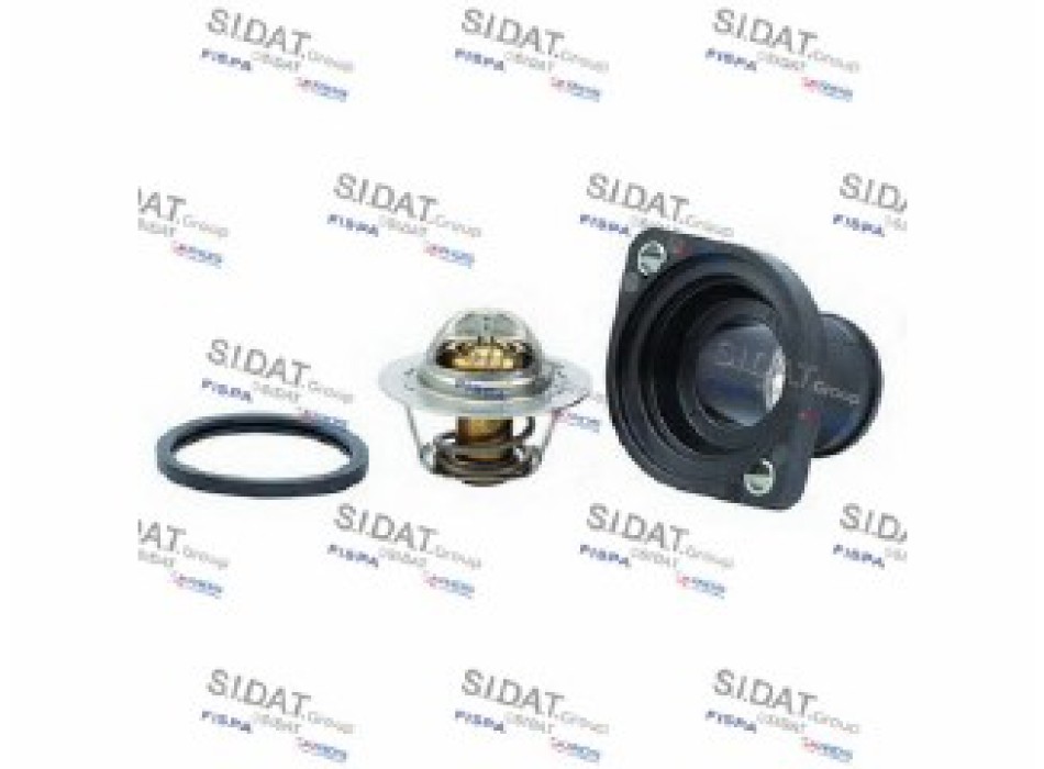 Carter del termostato