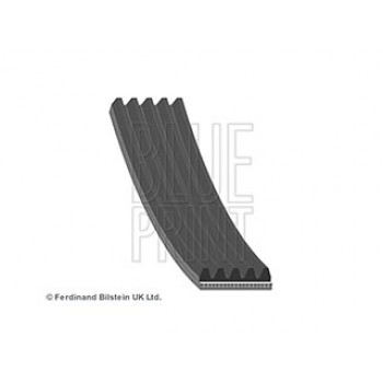 Blue Print AD06R1875 Cinghia Poly-V 6PK1880 Per Toyota RAV4, Mitsubishi Outlander, VW Polo
