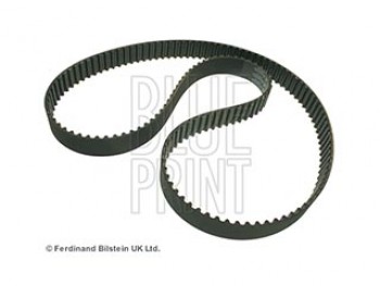 CINGHIA DISTRIBUZIONE