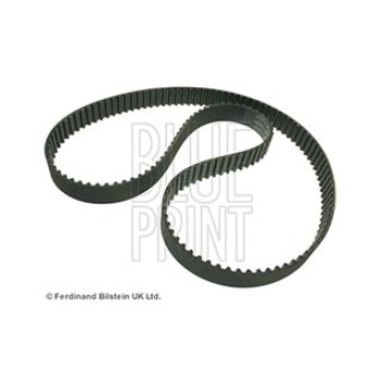 CINGHIA DISTRIBUZIONE