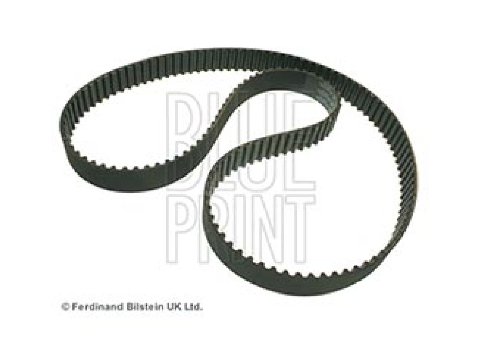 CINGHIA DISTRIBUZIONE