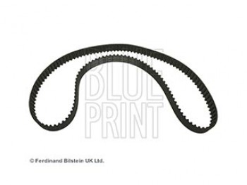 CINGHIA DISTRIBUZIONE