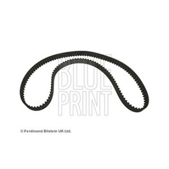 CINGHIA DISTRIBUZIONE