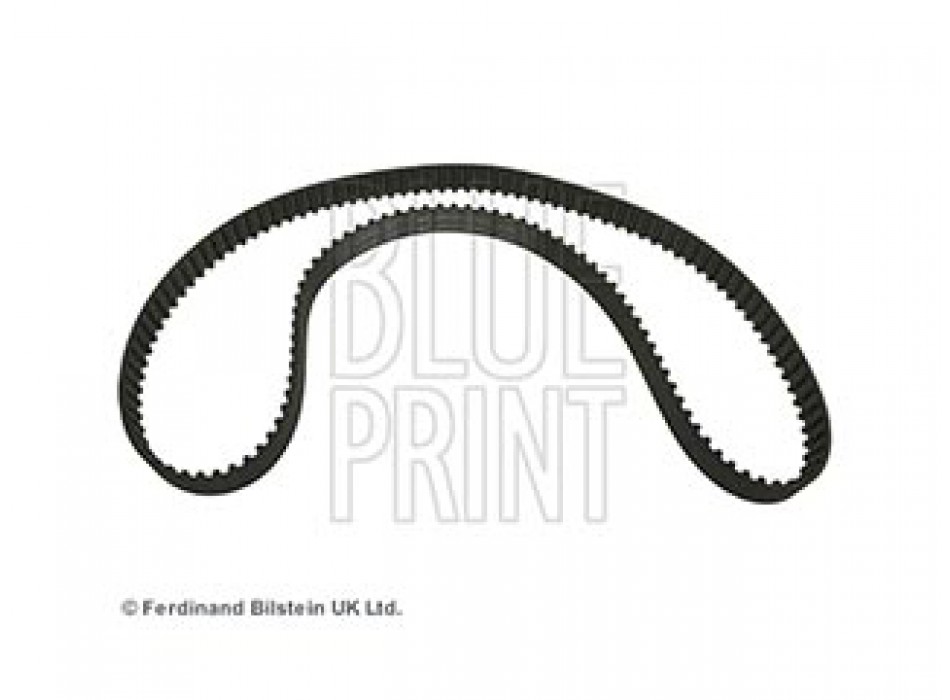 CINGHIA DISTRIBUZIONE