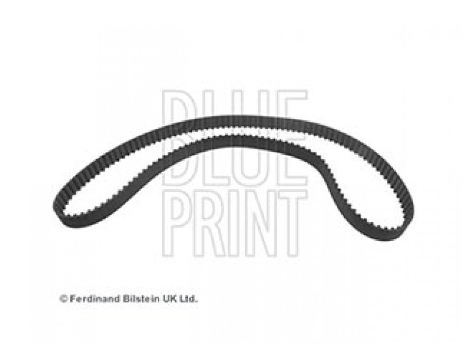 CINGHIA DISTRIBUZIONE