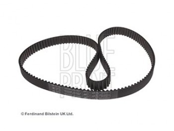 CINGHIA DISTRIBUZIONE