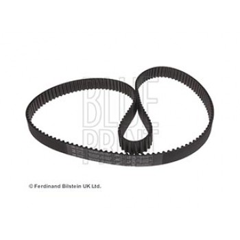 CINGHIA DISTRIBUZIONE