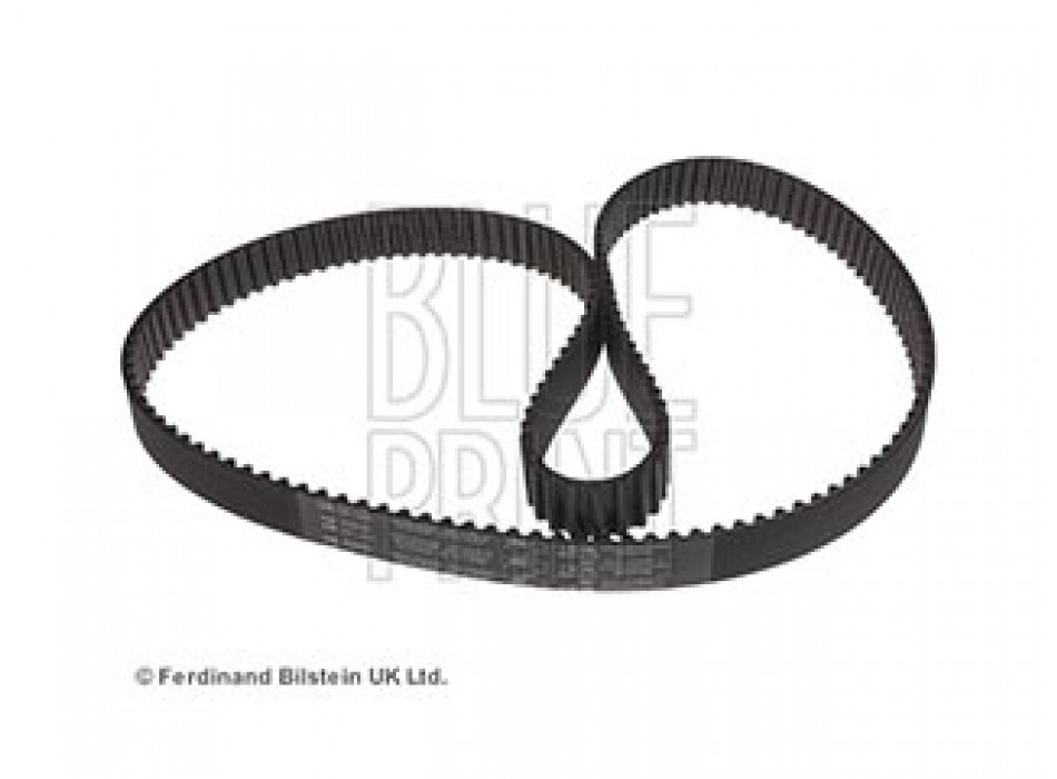 CINGHIA DISTRIBUZIONE