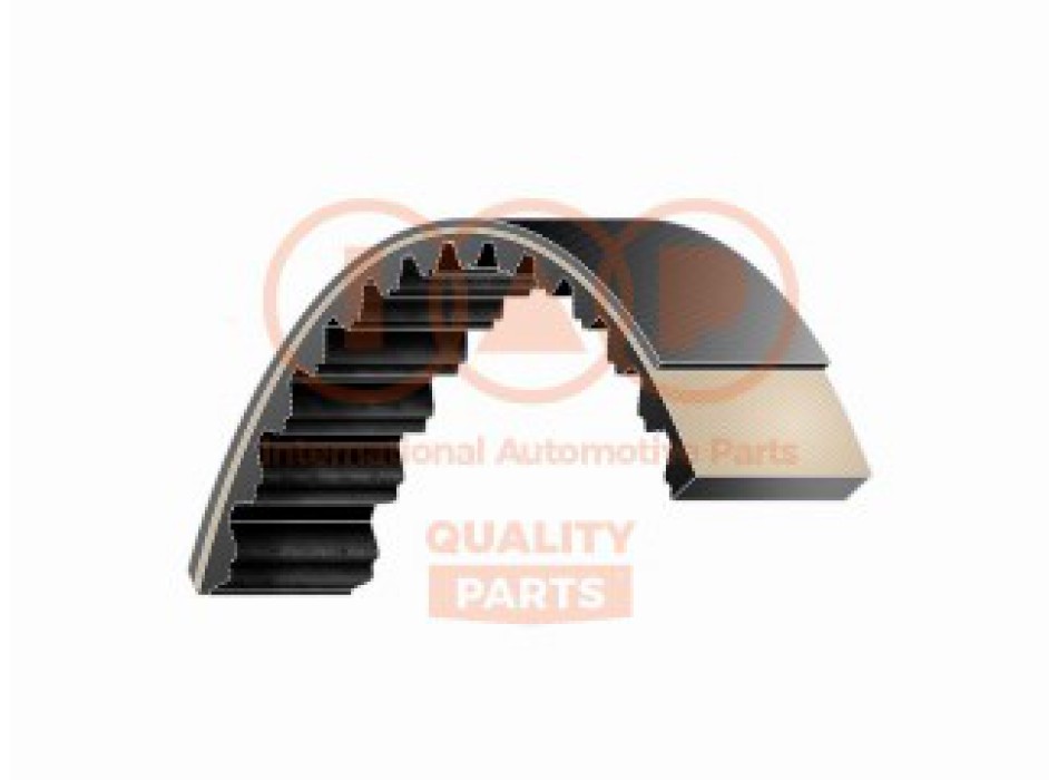 CINGHIA DISTRIBUZIONE 190x24