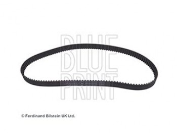 CINGHIA DISTRIBUZIONE