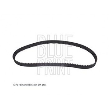 CINGHIA DISTRIBUZIONE