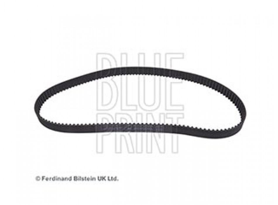 CINGHIA DISTRIBUZIONE