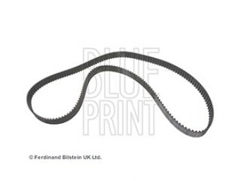 CINGHIA DISTRIBUZIONE