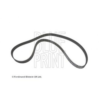 CINGHIA DISTRIBUZIONE