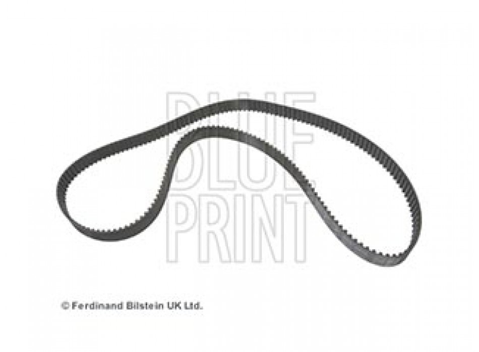CINGHIA DISTRIBUZIONE