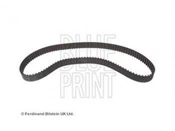 CINGHIA DISTRIBUZIONE