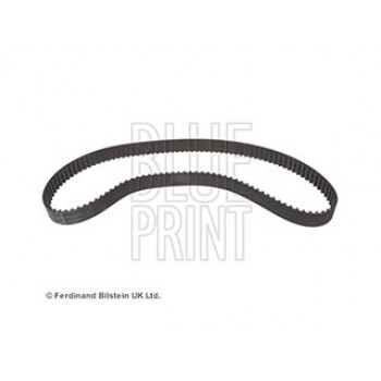 CINGHIA DISTRIBUZIONE