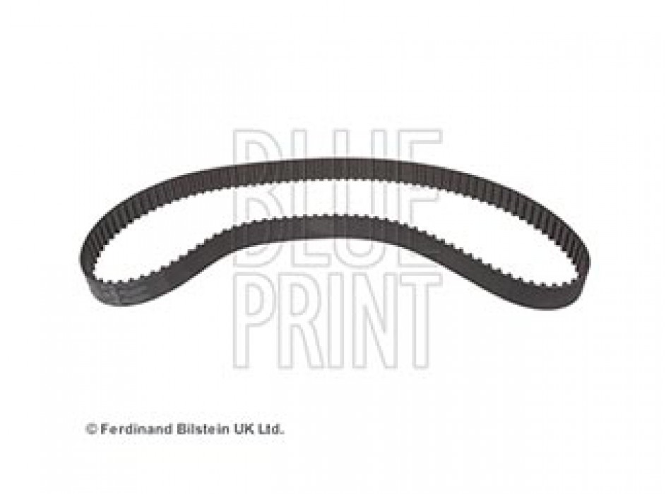 CINGHIA DISTRIBUZIONE