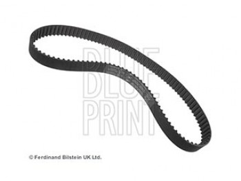 CINGHIA DISTRIBUZIONE