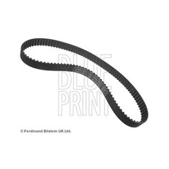 CINGHIA DISTRIBUZIONE