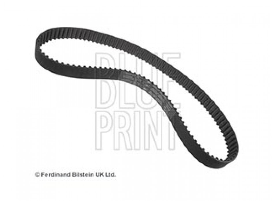 CINGHIA DISTRIBUZIONE