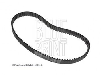 CINGHIA DISTRIBUZIONE