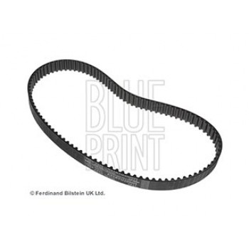 CINGHIA DISTRIBUZIONE