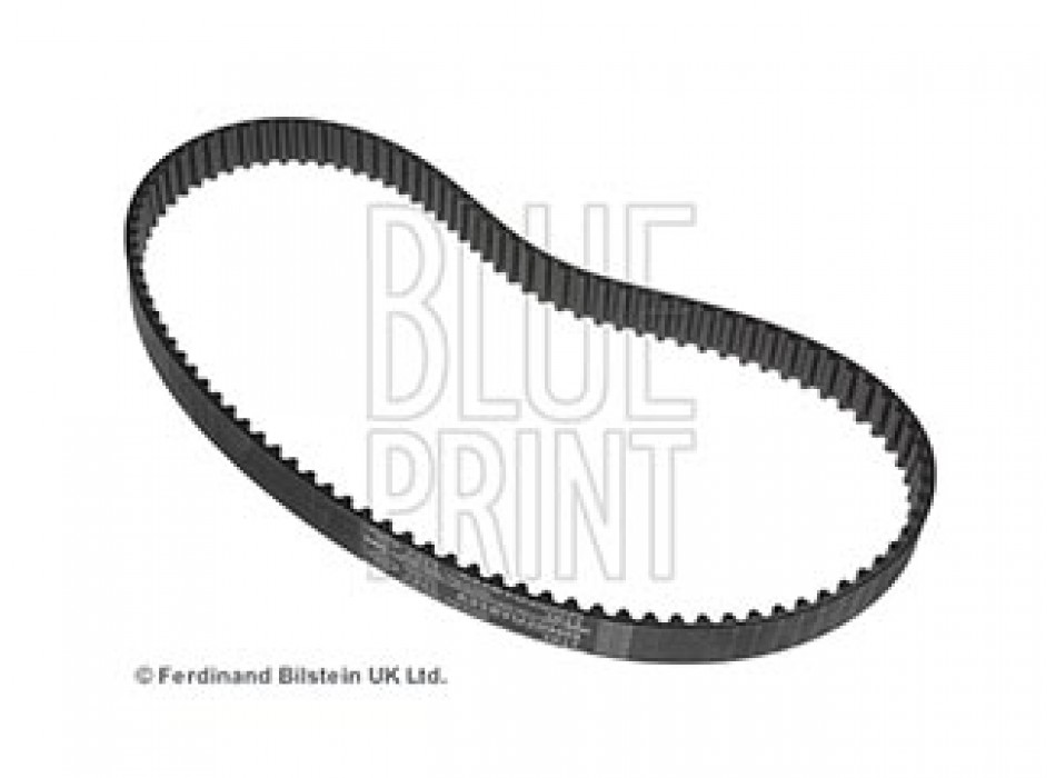 CINGHIA DISTRIBUZIONE