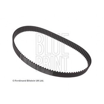 CINGHIA DISTRIBUZIONE