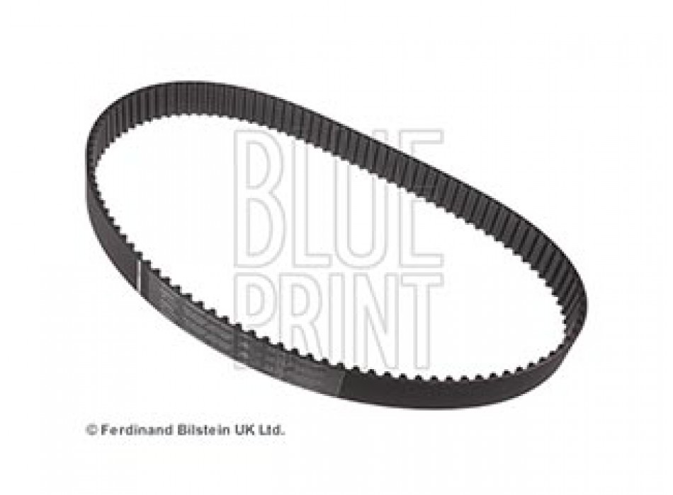 CINGHIA DISTRIBUZIONE