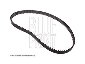 CINGHIA DISTRIBUZIONE