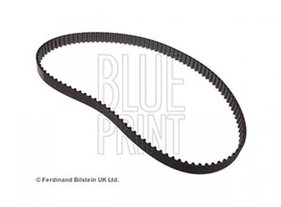 CINGHIA DISTRIBUZIONE