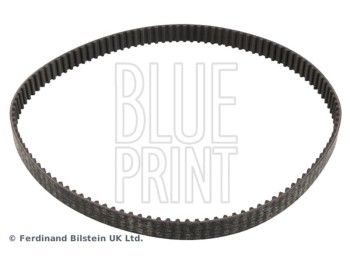 CINGHIA DISTRIBUZIONE