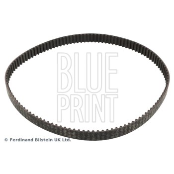 CINGHIA DISTRIBUZIONE