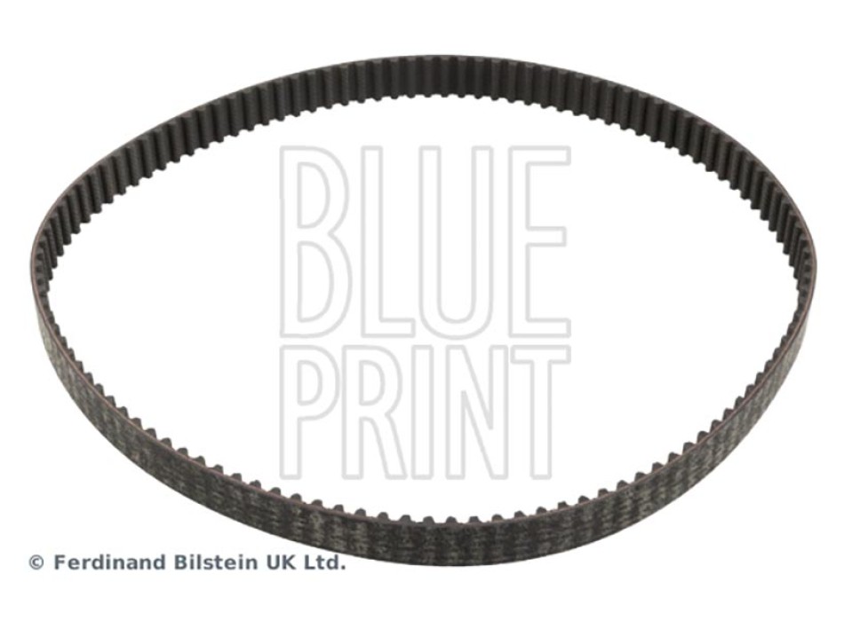 CINGHIA DISTRIBUZIONE